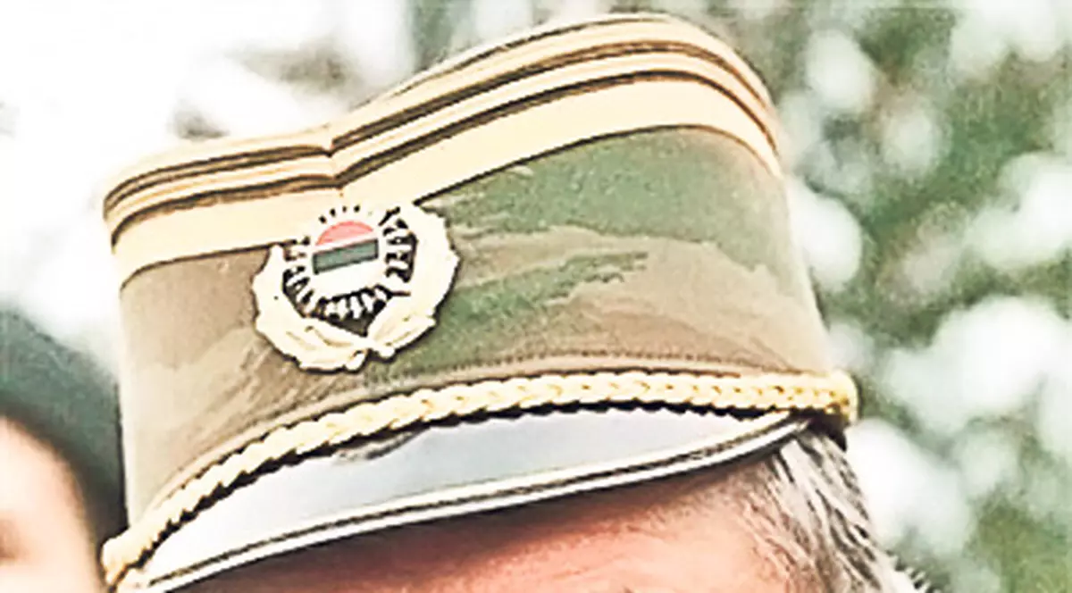 Familia lui Mladici cere internarea lui