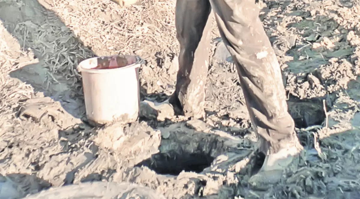 Ia benzină cu apă, neamule!