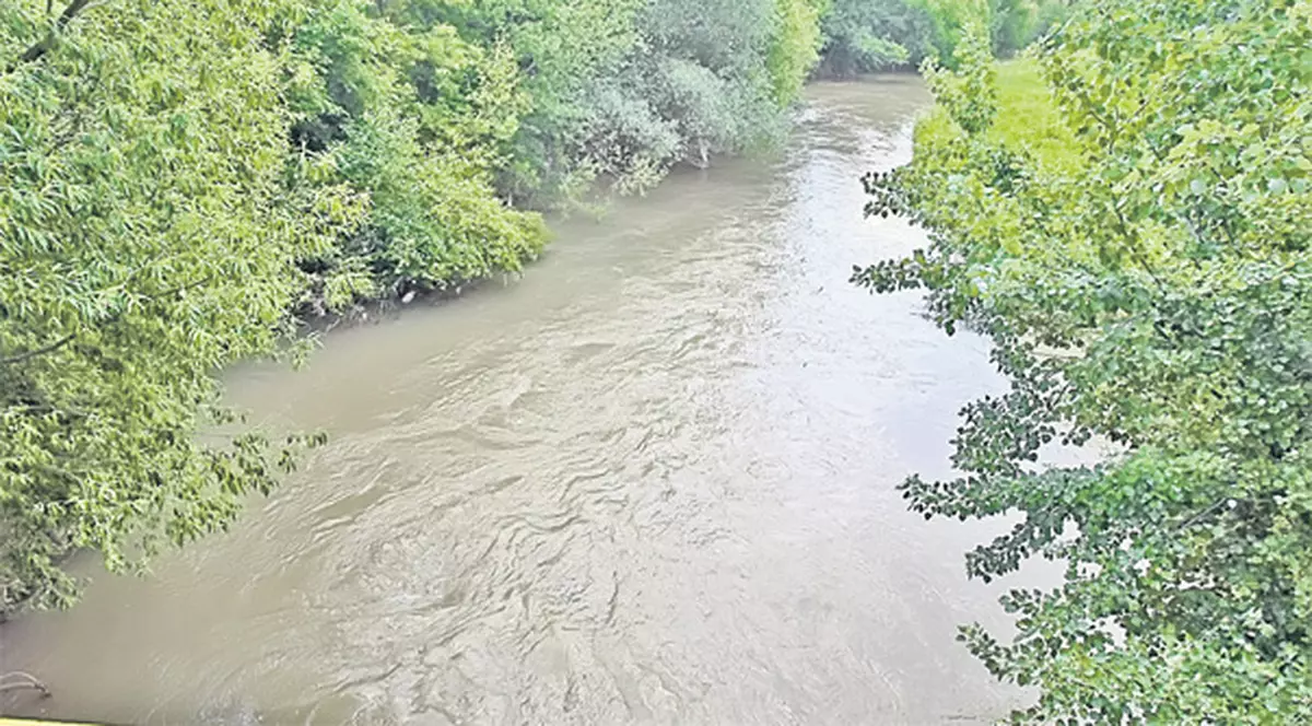 S-a înecat în râul din spatele curții