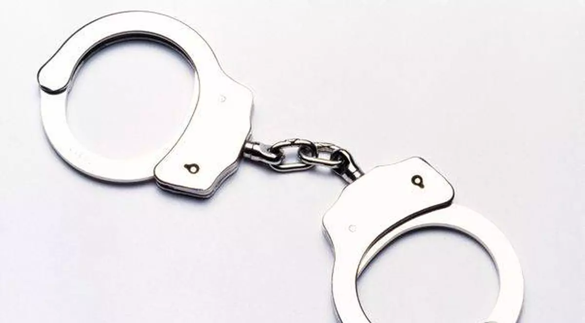 Dosarul „Caracatiţa din port”: 28 de arestaţi!