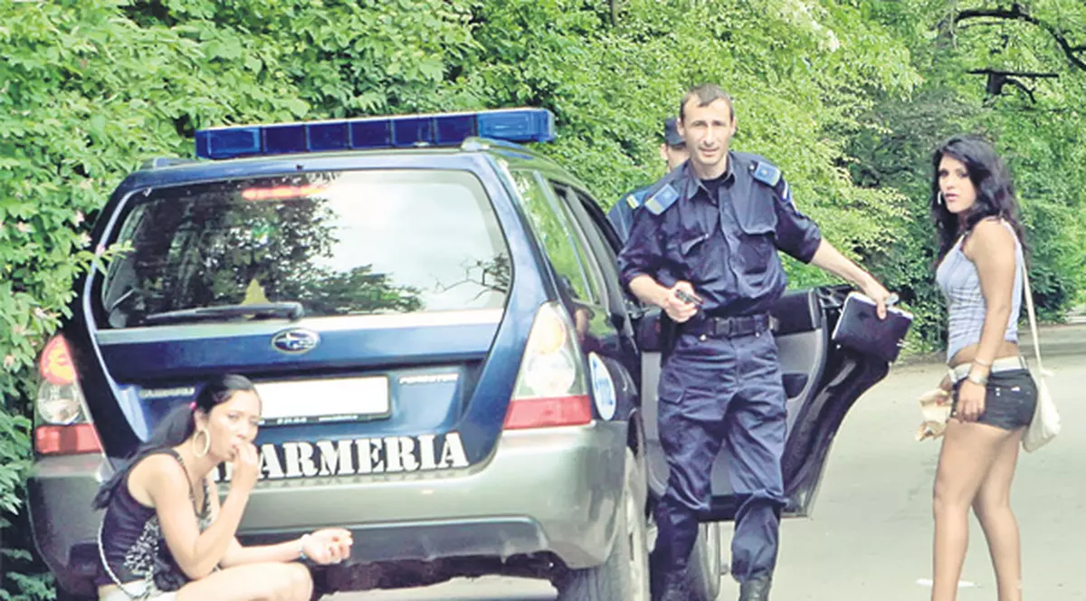 "Decât să facem puşcărie, mai bine îngrijim câini"