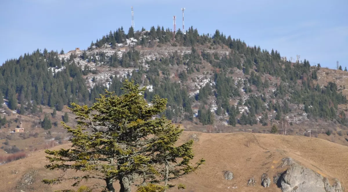 Tribunalul Cluj s-a pronunțat în favoarea Roșia Montană 