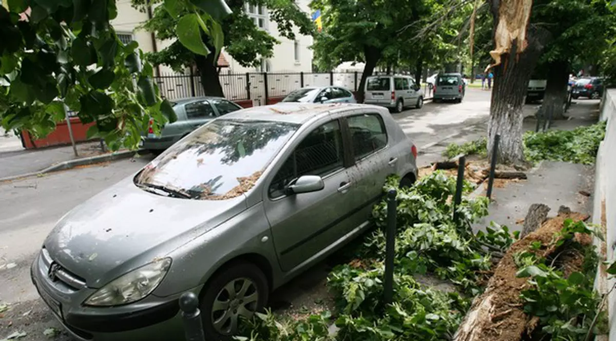 Foto | Furtuna a doborât 18 copaci