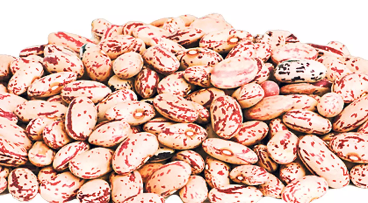 Știai? Fasolea roșie calmează sindromul premenstrual