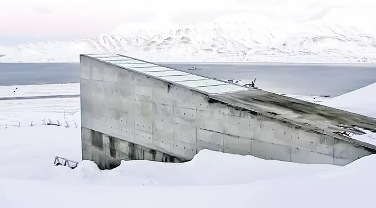 De aici vine salvarea lumii