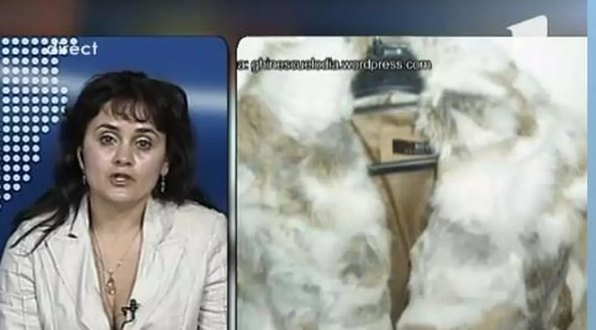 Avocata familiei Ghinescu, despre achitarea lui Cioacă: "Vom face recurs"