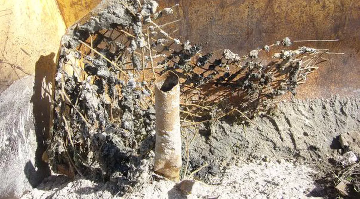 Corp metalic scos din mare, la Mamaia