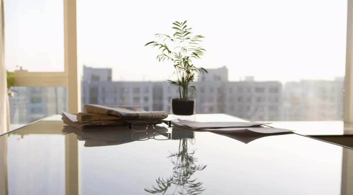 Plantele în ghiveci de la locul de muncă vă scapă de probleme de sănătate