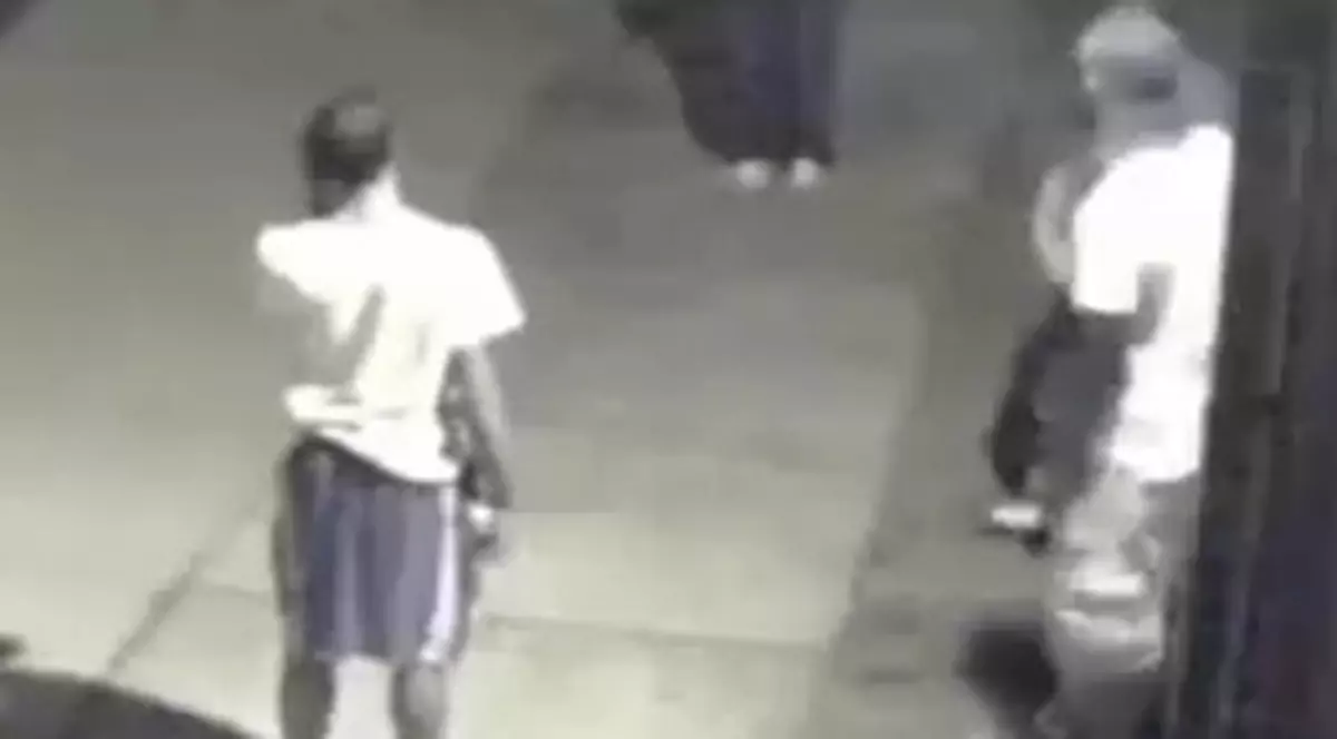 Video | Au tăiat pomul ca să fure o bicicletă