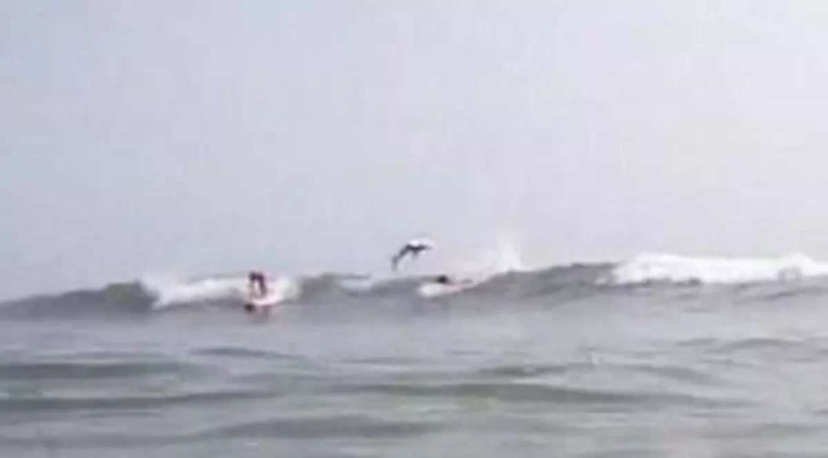 Video | I-a trecut rechinul pe deasupra capului în timp ce făcea surf