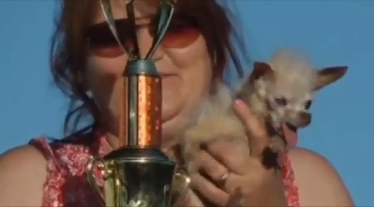 Video | Uite care e cel mai urât câine din lume!