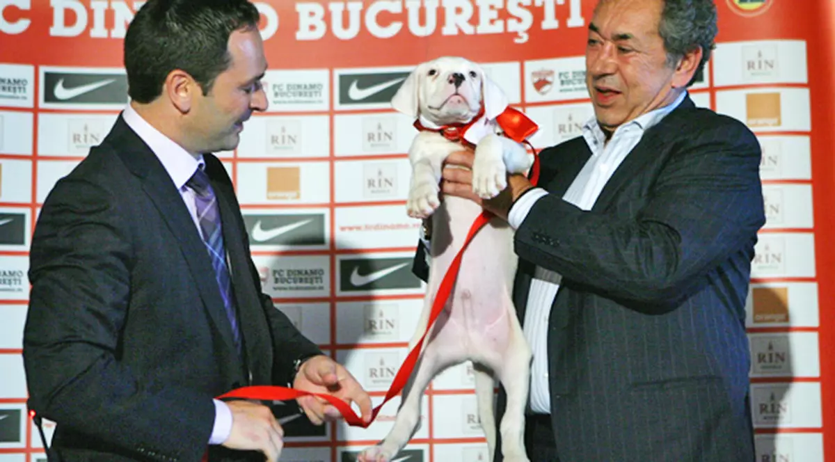 FOTO | Căţel de 1.000.000 €