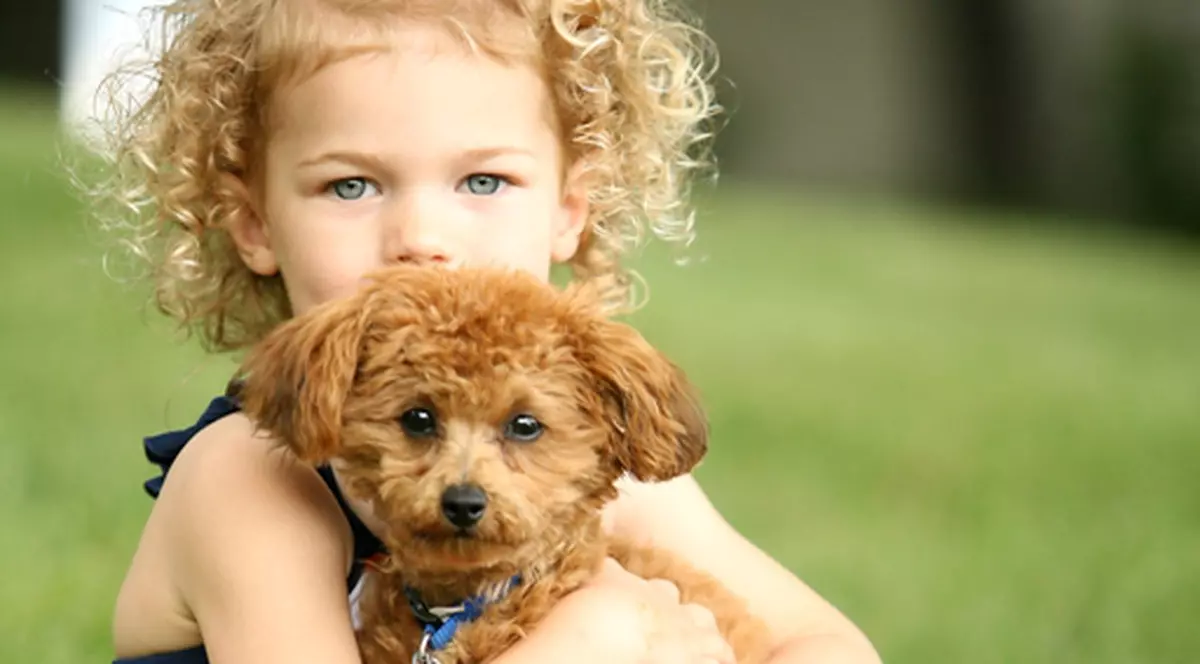 Se deschide primul centru de adopţii de animale din România