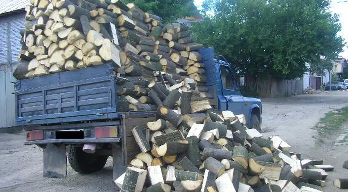 Platforma România 100 acuză