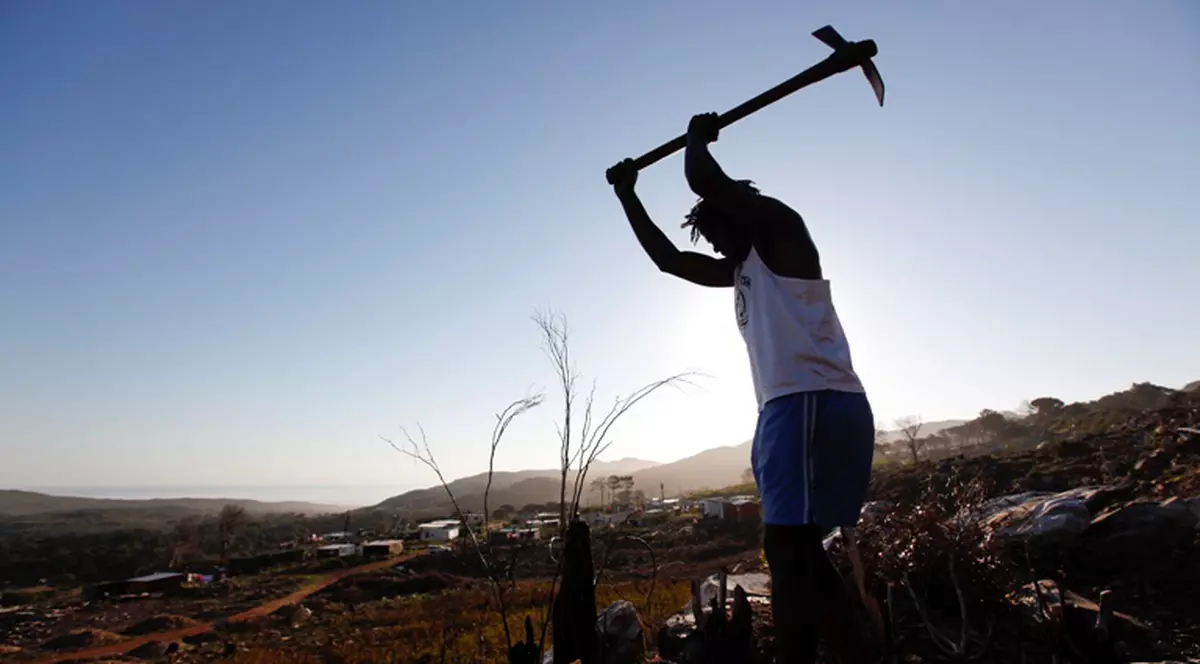 Vrei să câştigi 1200 de euro pe lună? Austria caută tăietori de lemne