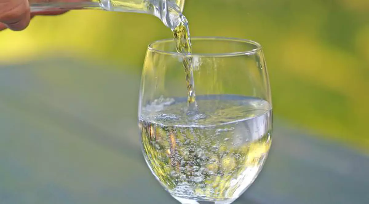 Poliţiştii americani au închis standul de limonadă al unor fetiţe