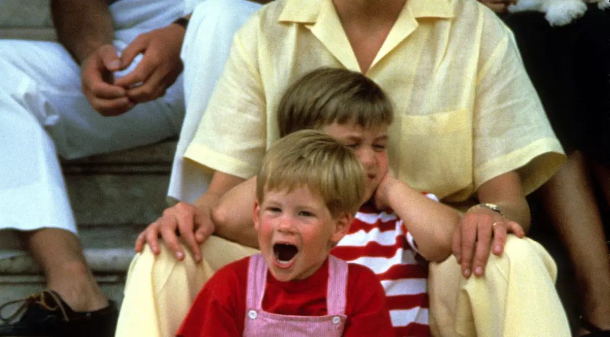 Amintirile prinților William și Harry despre mama lor