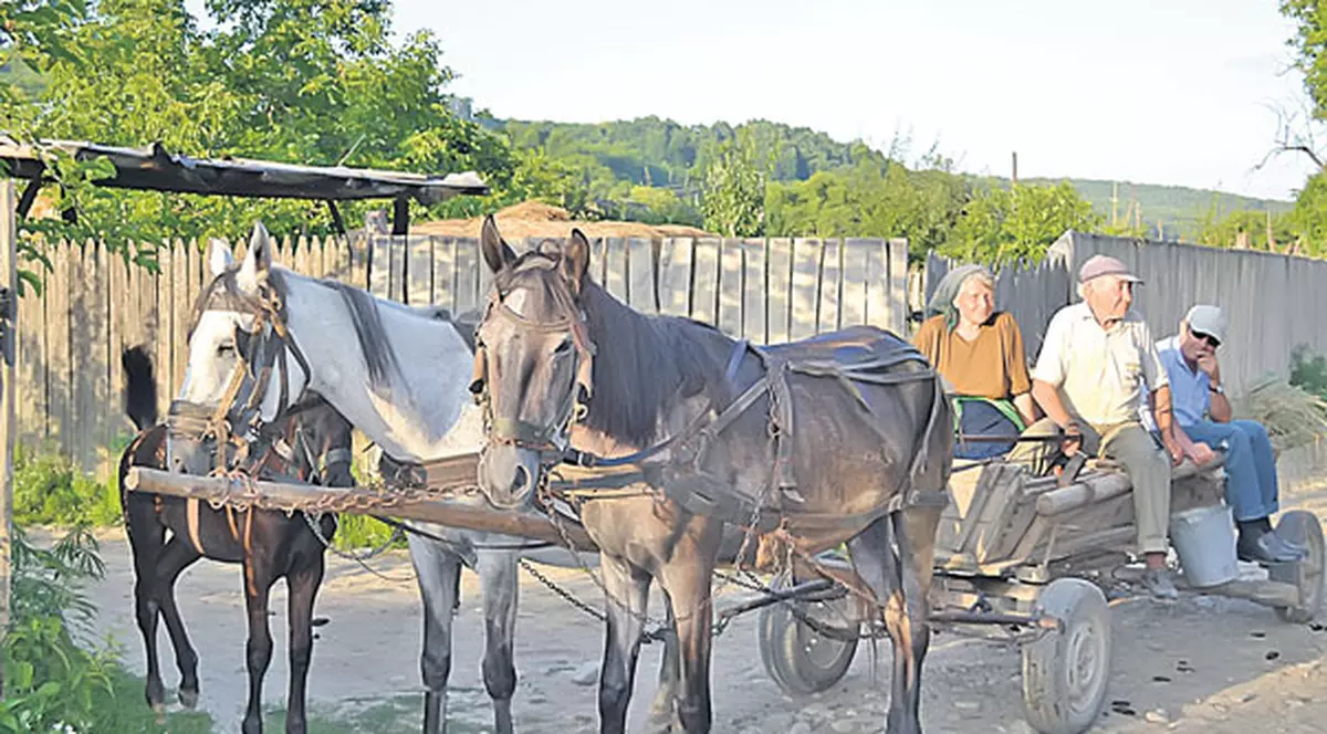 EXCLUSIV/ Orașele din România vor... la țară! De ce au ajuns să ceară retrogradarea
