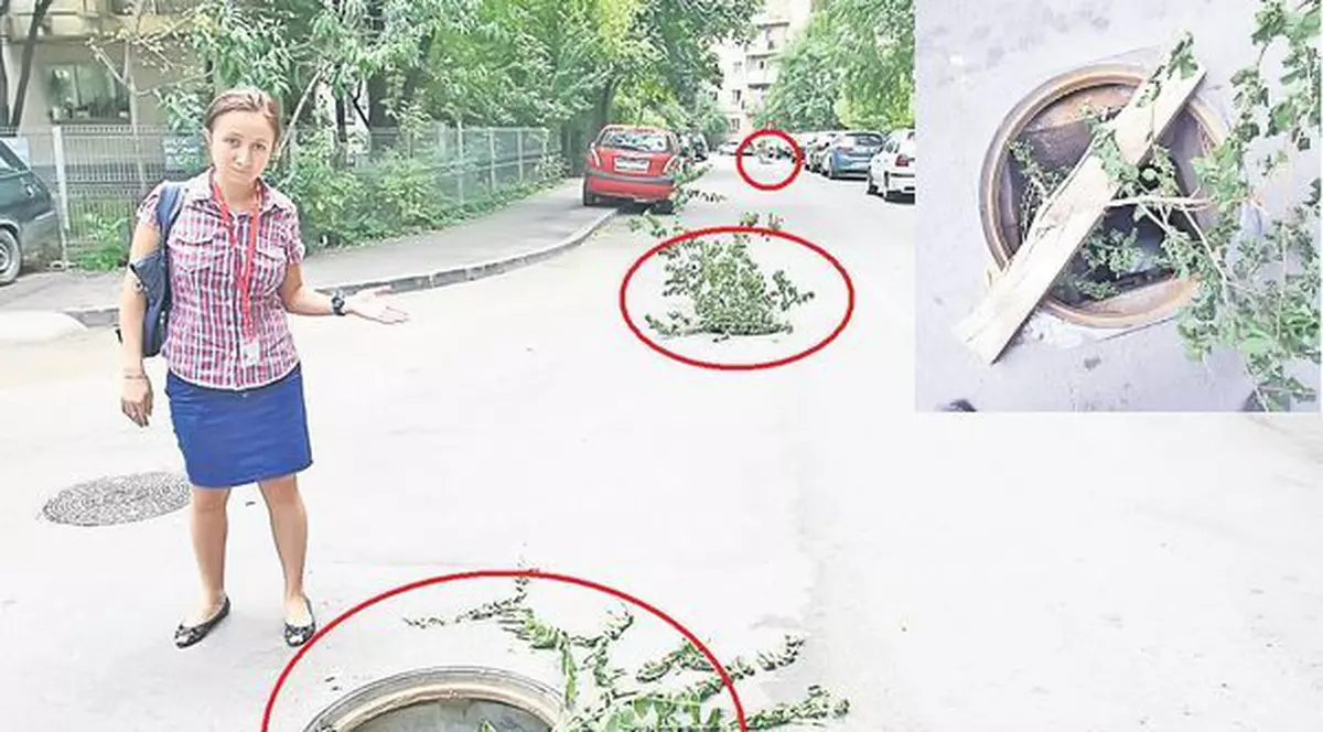 Hoţii de fier vechi au dat lovitura în cartierul Tei. Au furat toate capacele de canal de pe o stradă