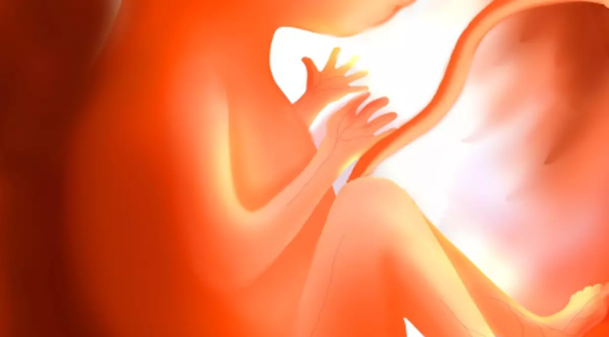 Șocant! Chinezii fac pastile din rămășițe de fetuși umani!