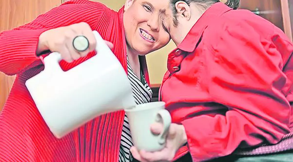 Cele mai bătrâne siameze din lume, Lori şi Dori, împlinesc 50 de ani