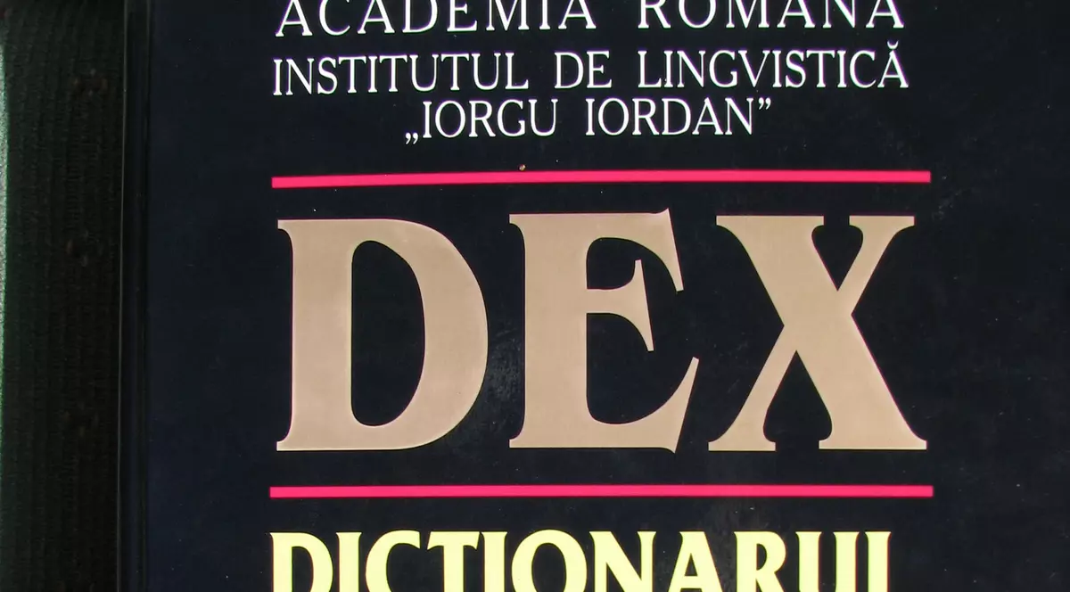 Definițiile peiorative pentru „țigan” și „jidan”, eliminate din noul DEX
