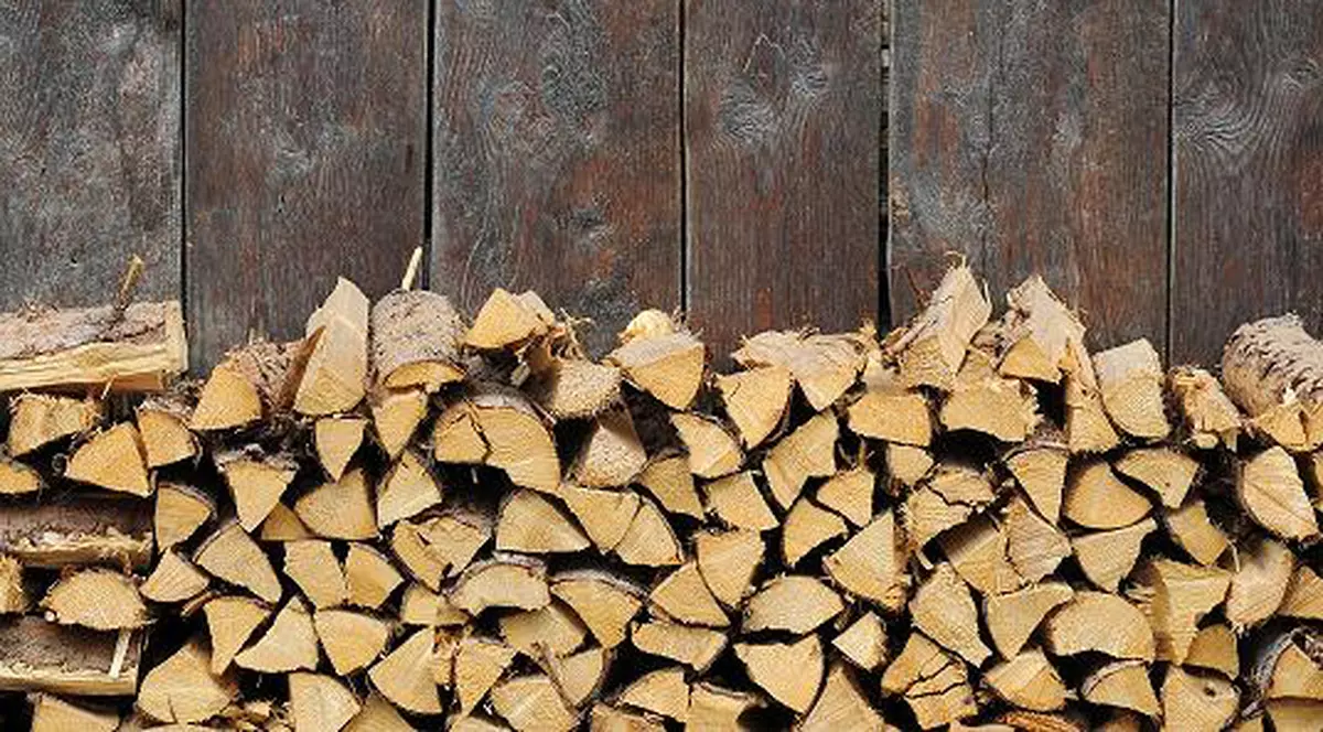 EXCLUSIV Pierdem mii de hectare de pădure în fiecare an! România a tăiat o pădure cât un oraș, în 2016, pentru a o trimite în SUA