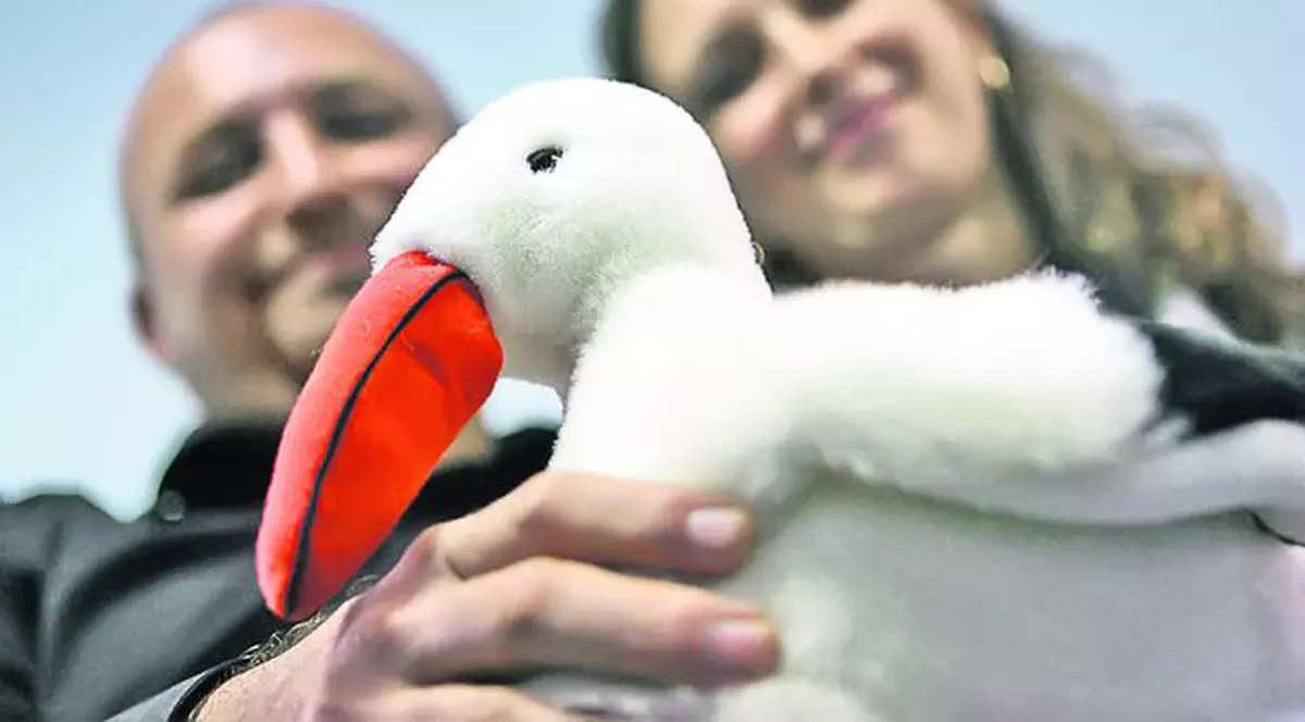 Primul copil conceput in vitro cu bani de la stat se va naşte în iulie 20