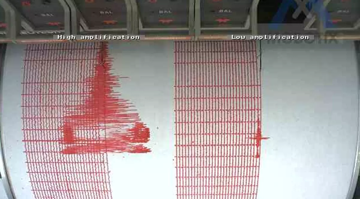Cutremur de 4,8 grade, în Vrancea. S-a resimţit şi la Bucureşti