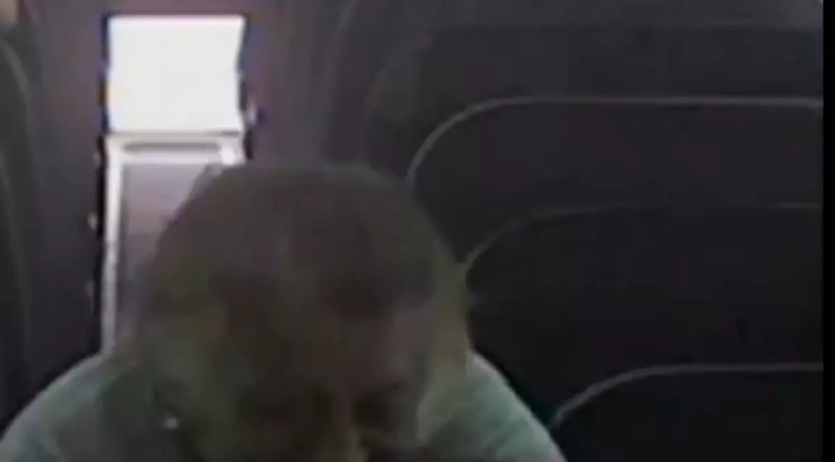 Video | O femeie de 60 de ani a muşcat un copil într-un autobuz