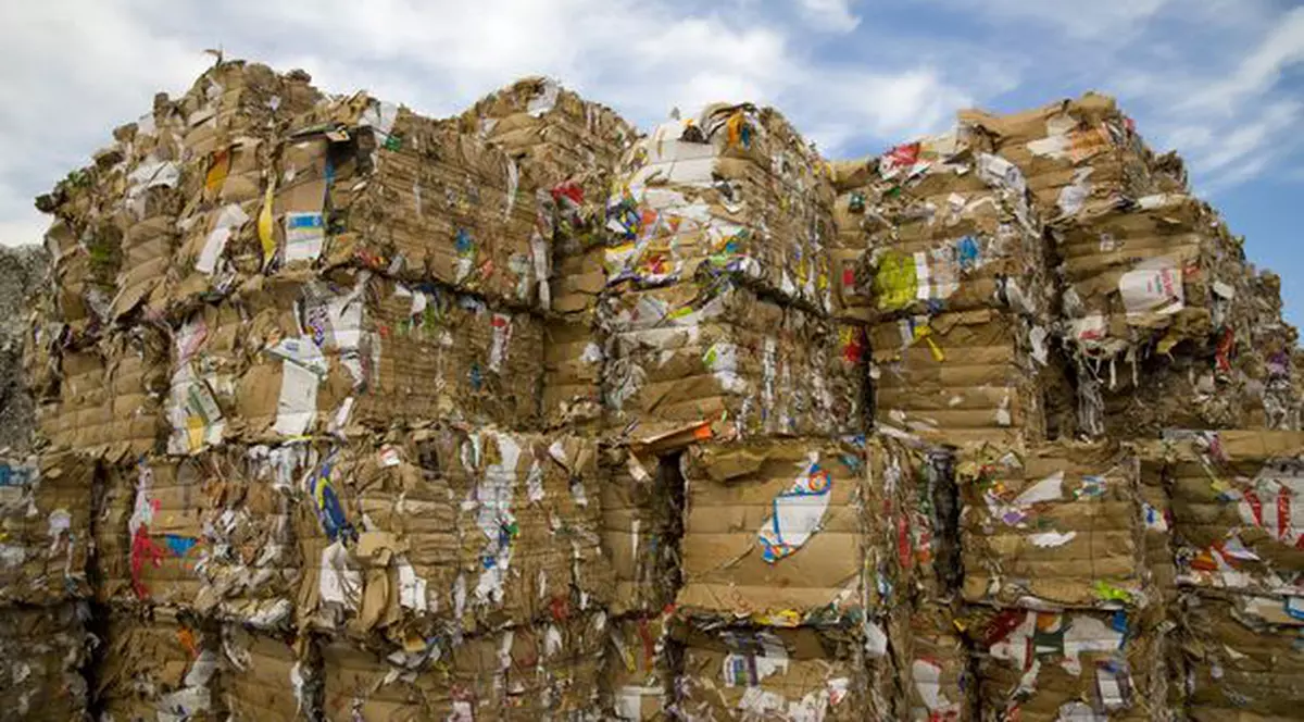 Iată cât a cheltuit România pentru protecţia mediului!