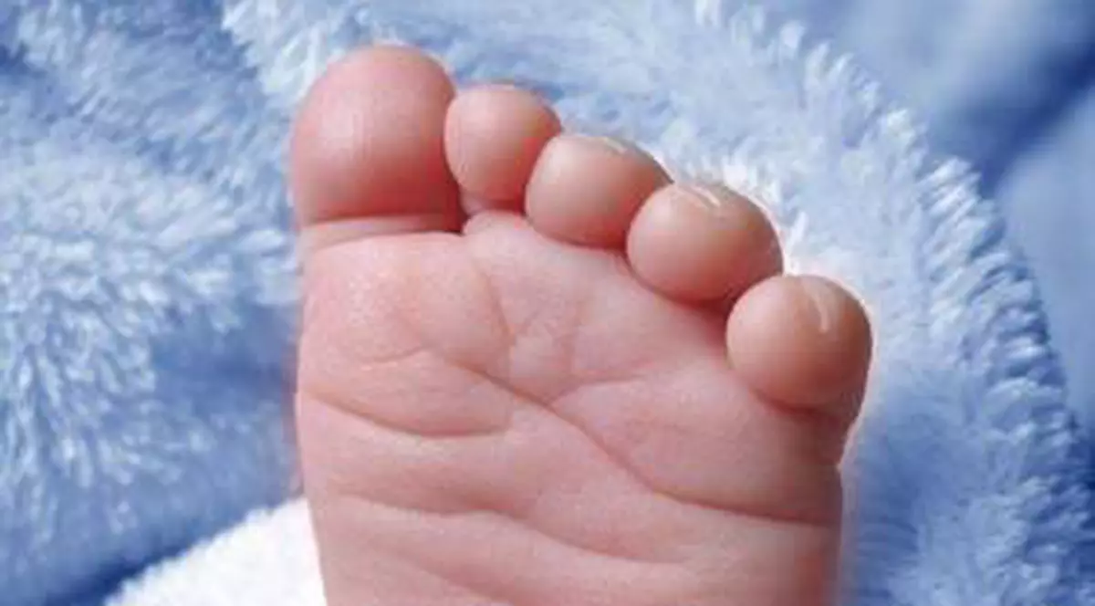 O familie din Franța vrea să-și numească băiatul Jihad