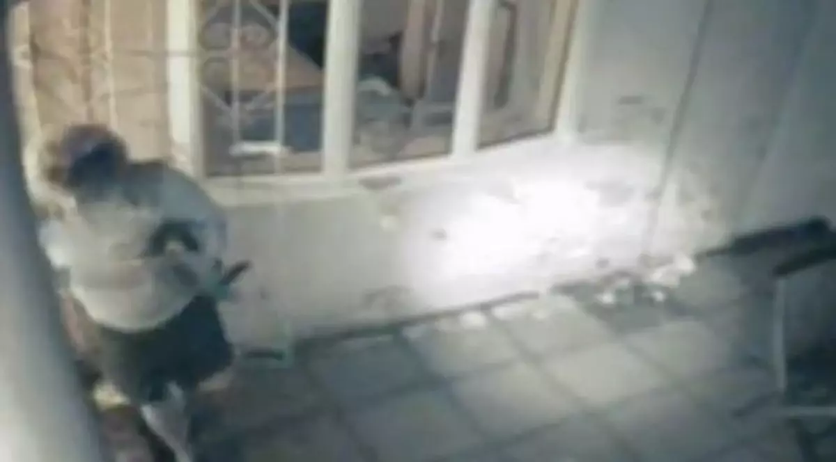 Video | Ce răzbunare! Soția unui parlamentar britanic i-a furat pisica amantei acestuia