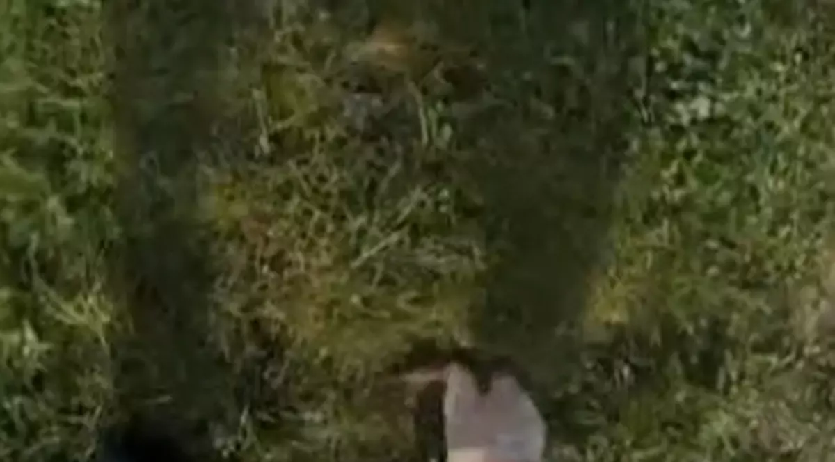 Atenţie, în parc plouă cu... excremente de câine