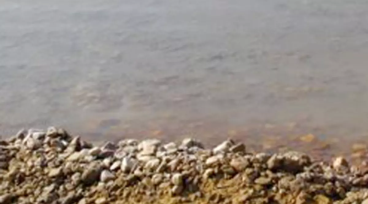 Marea Moartă şi-ar putea schimba denumirea în Marea Vie, datorită unui român. Află de ce!