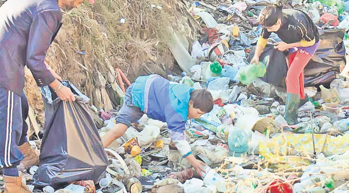 Primăria din Baia Mare ştie cum să-i determine pe rromi să strângă deşeurile: I-a momit cu lemne