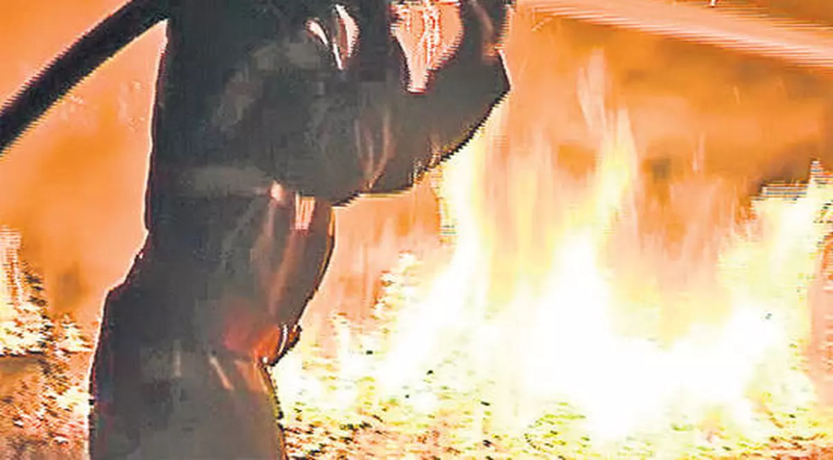 Crama Domnească din Centrul Istoric, cuprinsă de flăcări