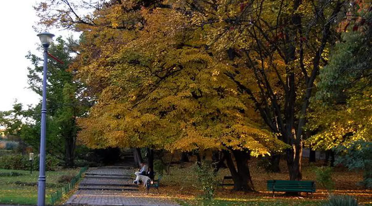 Foto | Uite ce frumoasă e toamna la noi, dar şi în alte ţări!