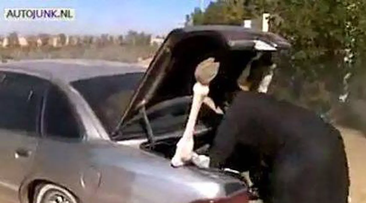 Tupeu de borfaş! I-au furat maşina şi apoi l-au sunat pe păgubaş să-i vândă sculele din portbagaj