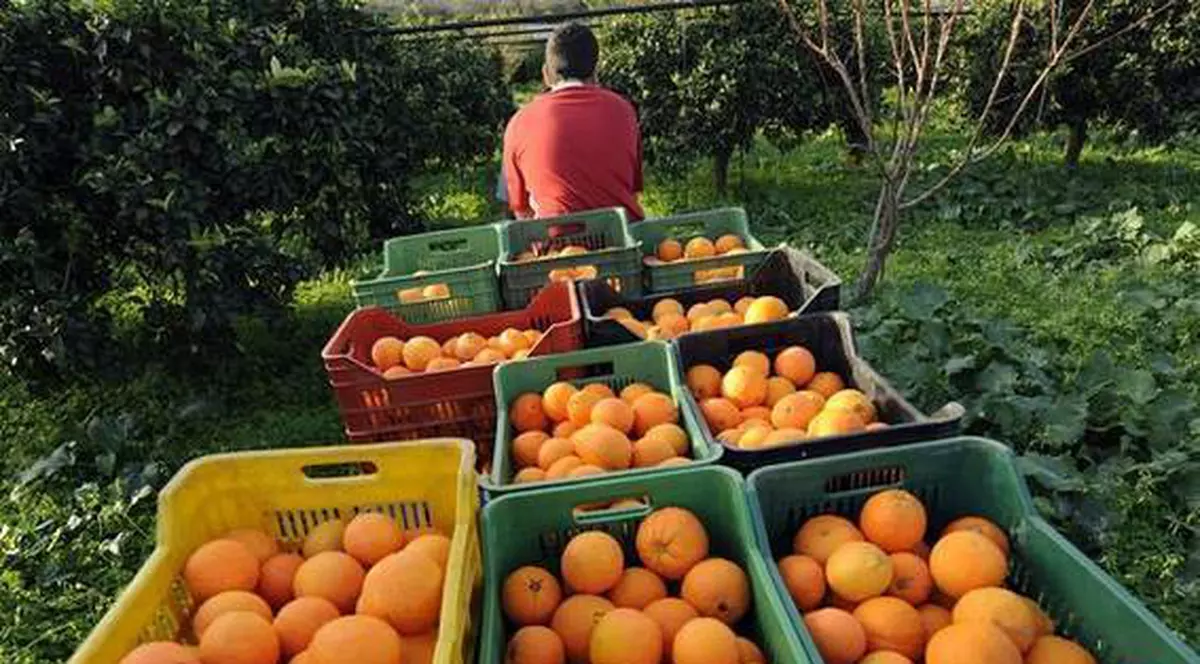 Ministerul Municii a lansat un site pentru românii din Spania