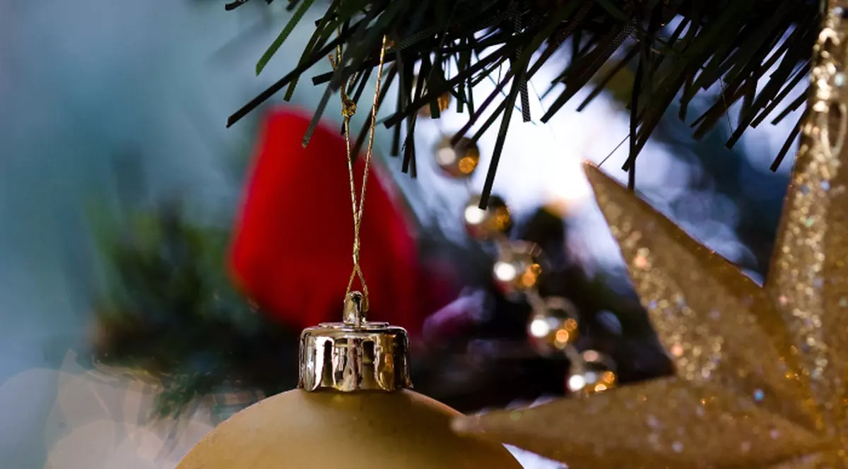 A intrat prin efracţie într-o casă şi a ...decorat-o de Crăciun