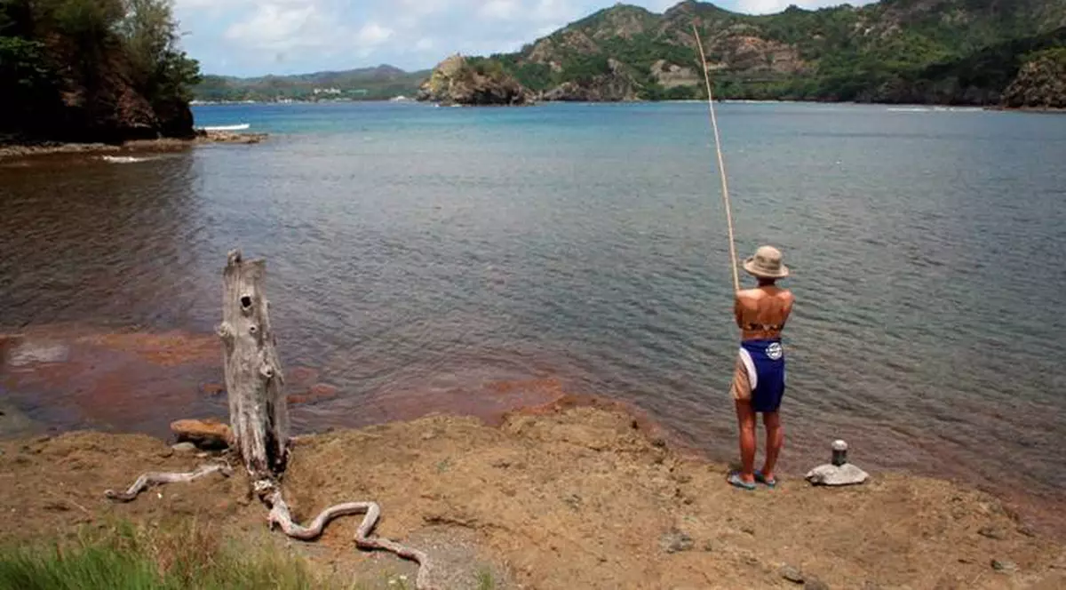 O bucureşteancă a vândut călătorii fictive în jurul lumii 