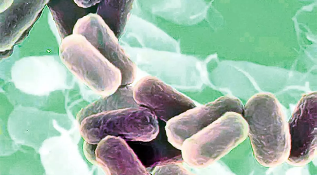 Superbacterii la graniţa cu România!