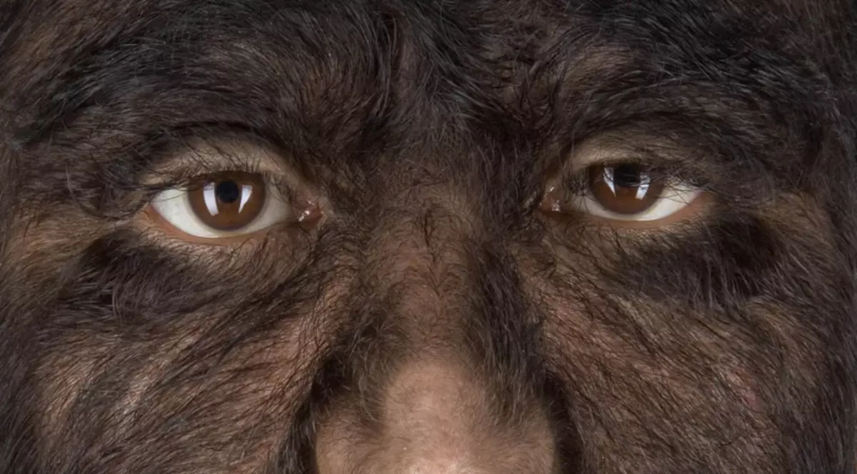 Video | Imaginile care te pot face să te simţi un om cu adevărat norocos