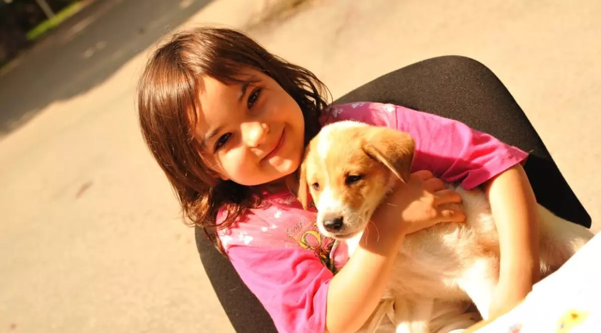 Adopţie de câini organizată în sectorul 1 al Capitalei