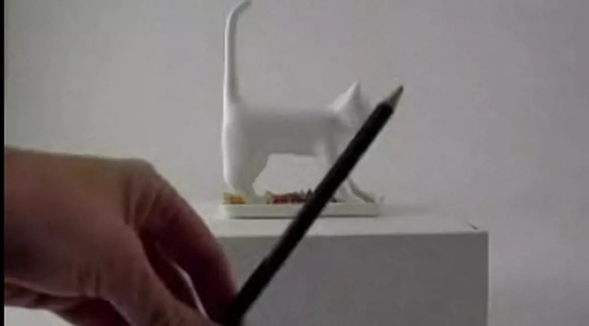 Vrei să penetrezi o pisică? O activitate permisă minorilor a devenit indecentă | VIDEO 