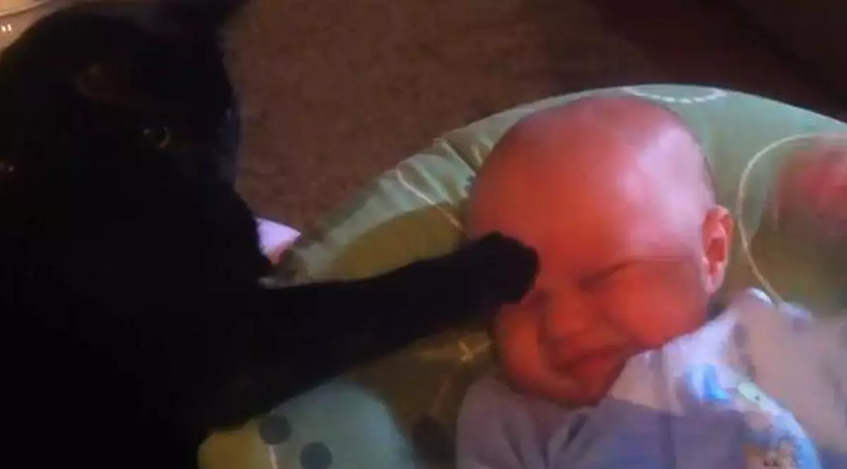 ADORABIL! Un bebe se oprește din plâns după ce îl mângâie ... motanul | VIDEO