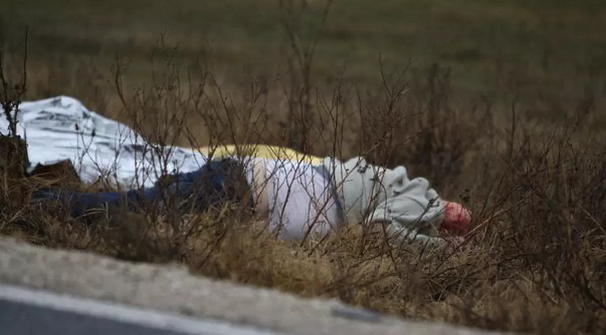 IMAGINI ȘOCANTE! Bărbat găsit sfâșiat de câini pe marginea drumului. Asta după ce fusese lovit mortal de o mașină și abandonat