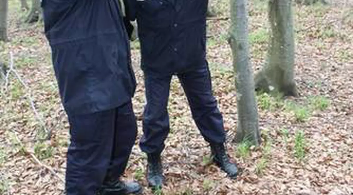 Doi jandarmi, răniţi de hoţi români pe o autostradă din Franţa