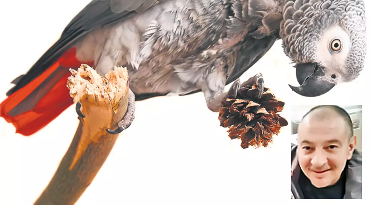 Coco, papagalul lui Bodo, a împlinit 80 de ani